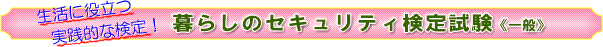 �����ɖ𗧂��H�I�Ȍ���I��炵�̃Z�L�����e�B���莎���s��ʁt