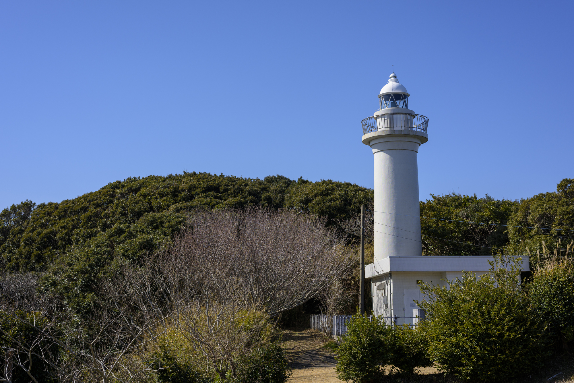 太東埼