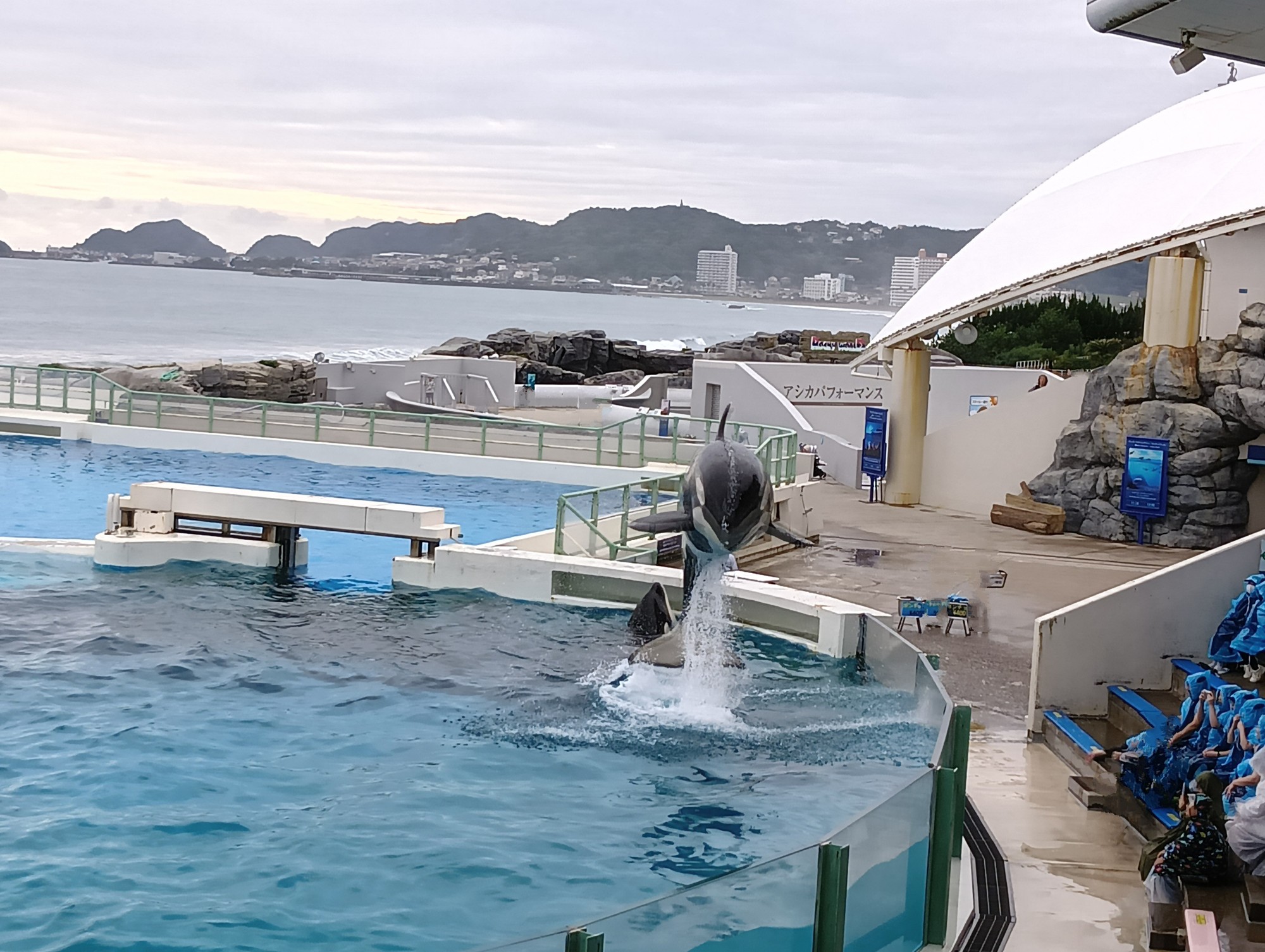 鴨川シーワールド