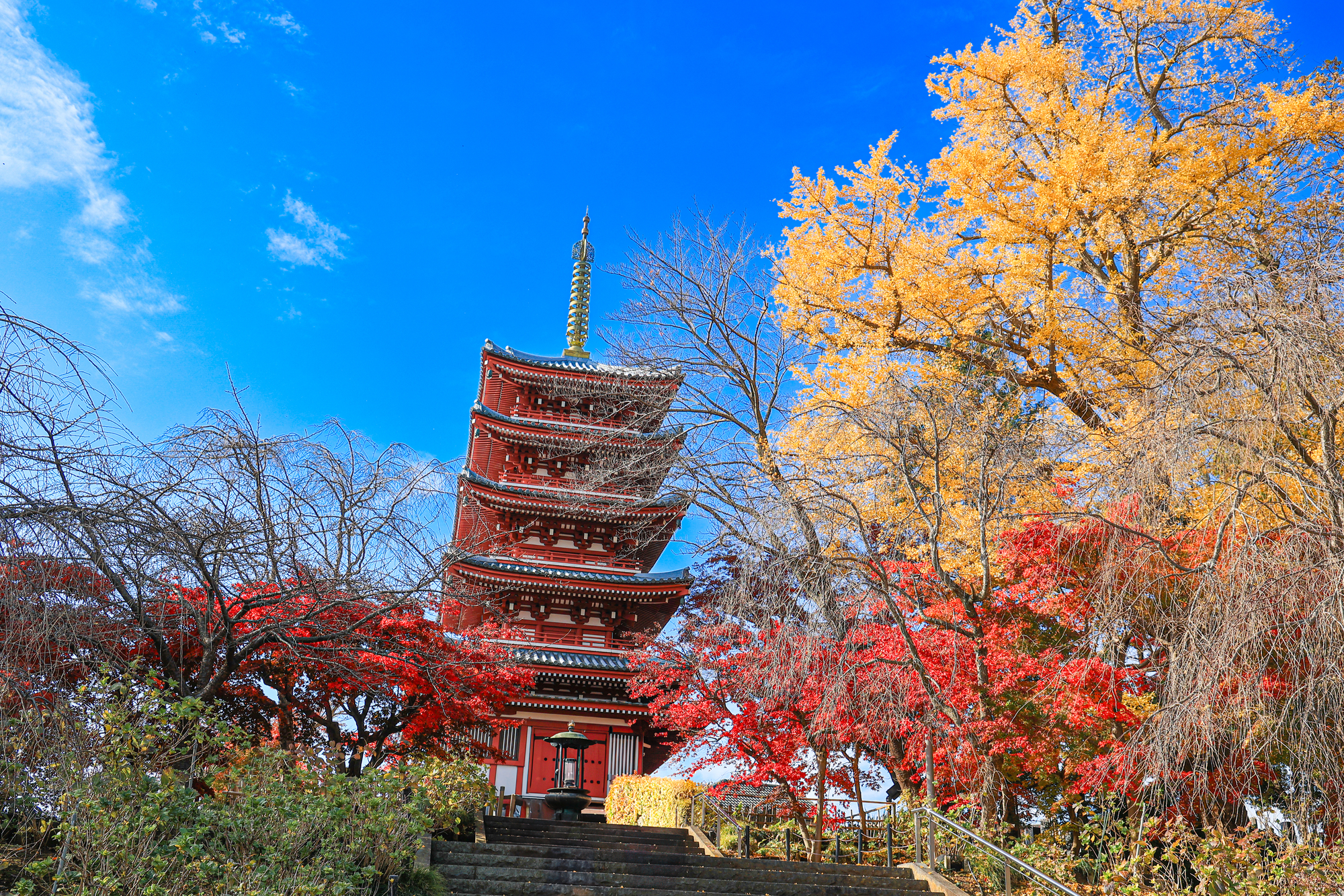 本土寺