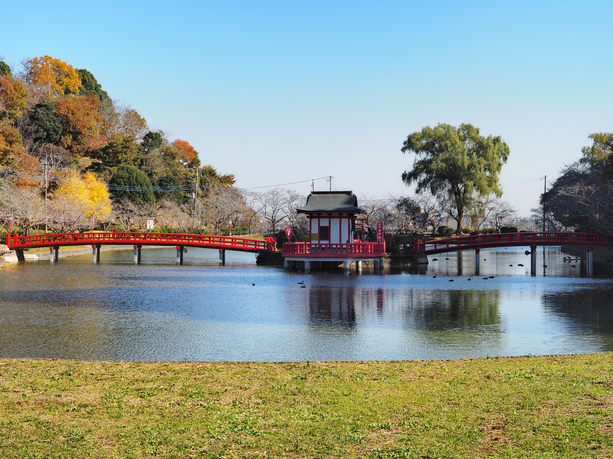 茂原公園