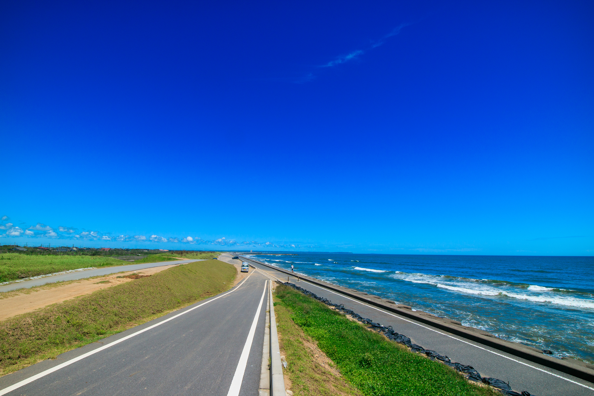 野手浜