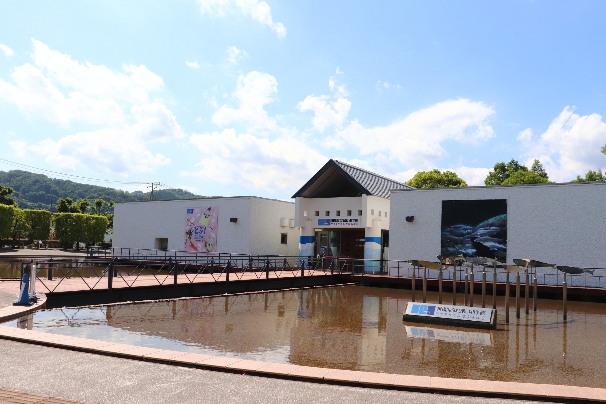 相模川ふれあい科学館アクアリウムさがみはら