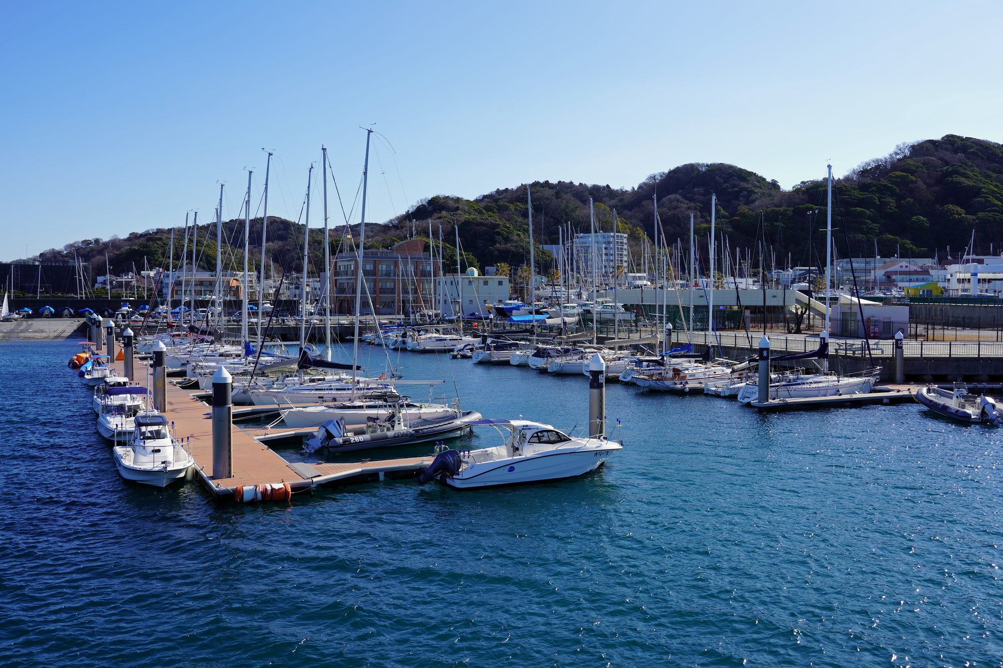 葉山港