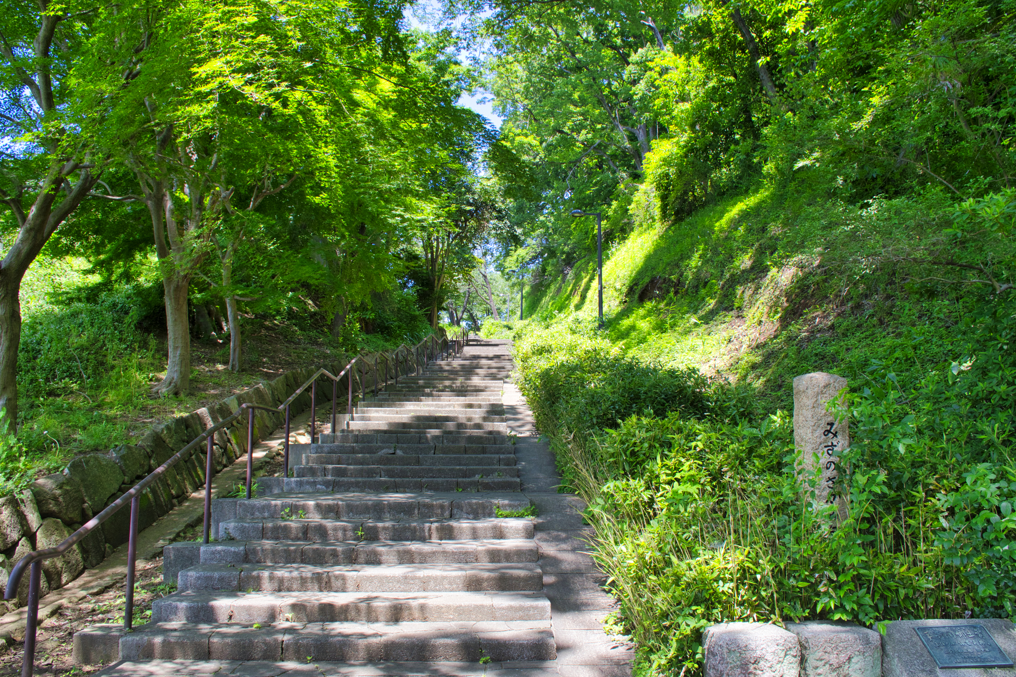 陣ヶ下渓谷公園