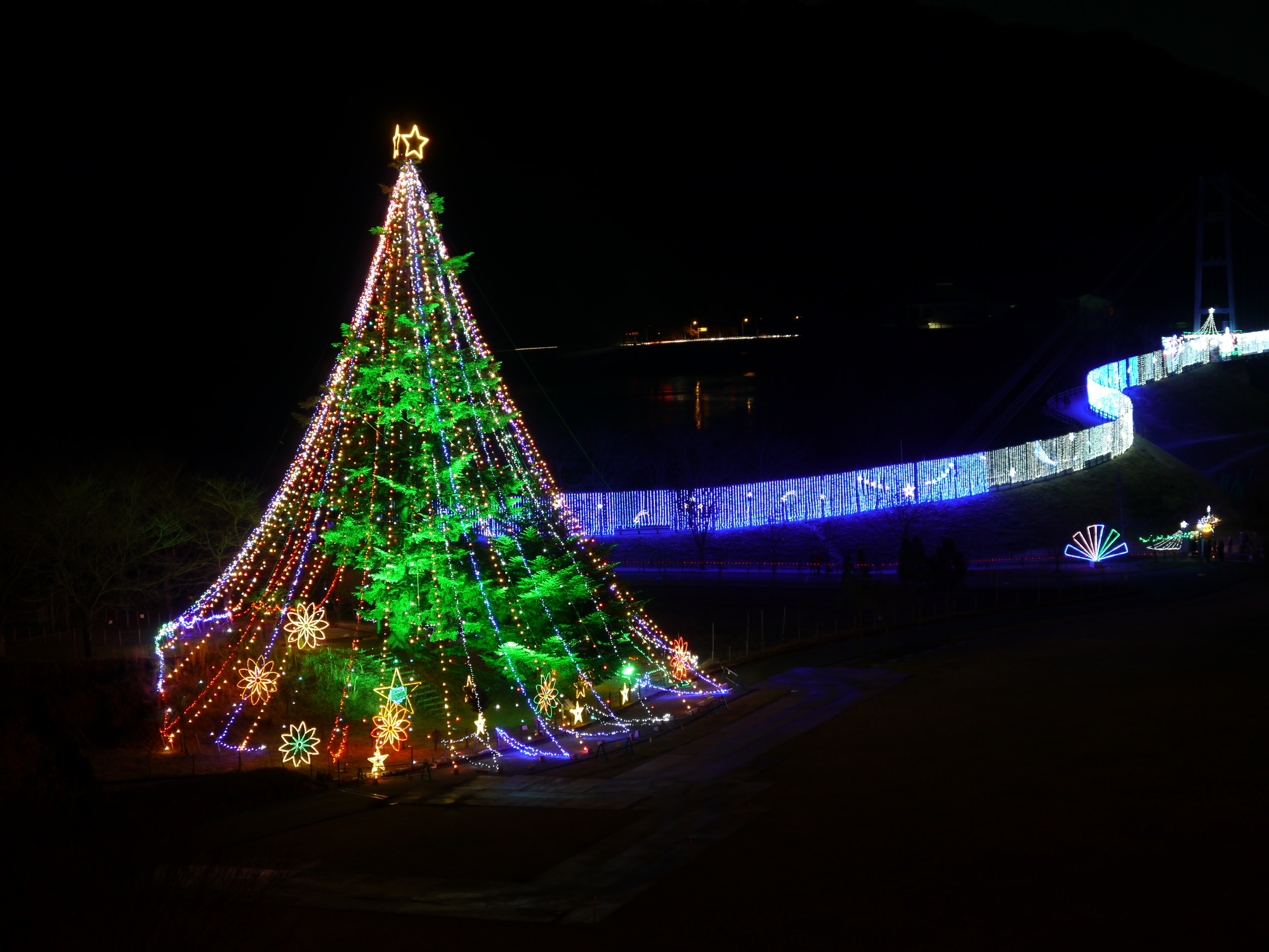 宮ケ瀬湖のクリスマスツリー