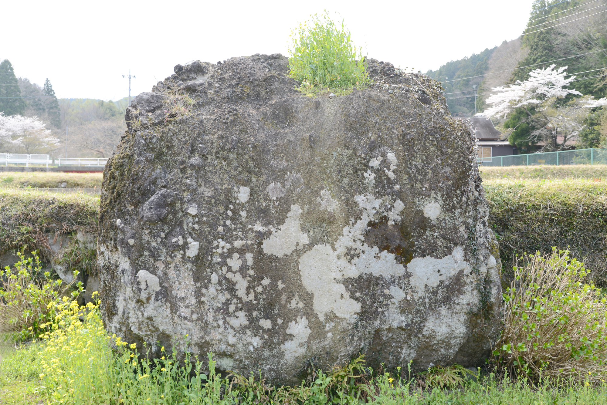 金太郎遊び石