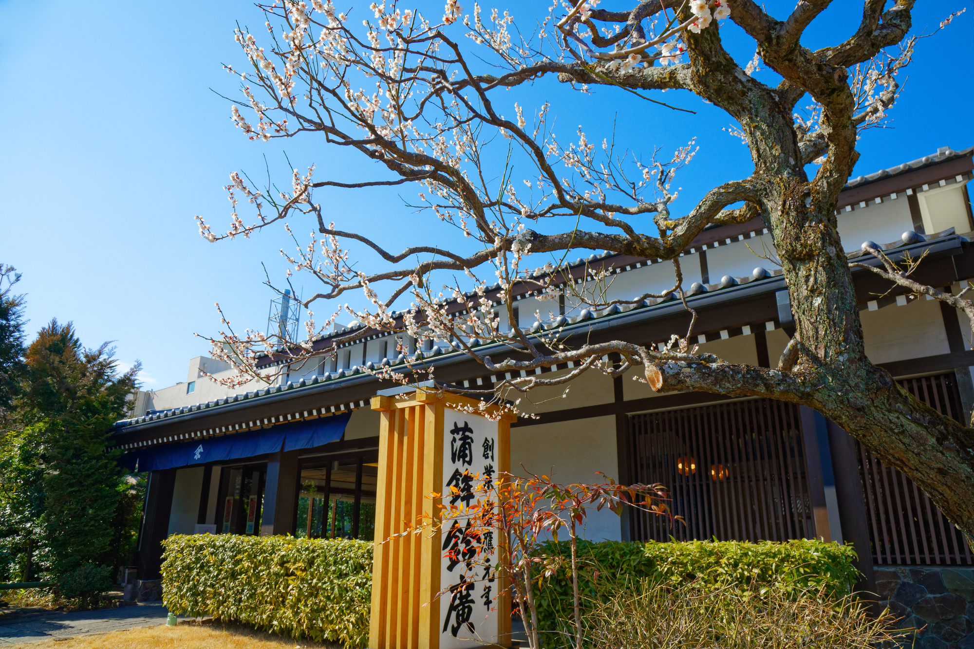 鈴廣かまぼこの里