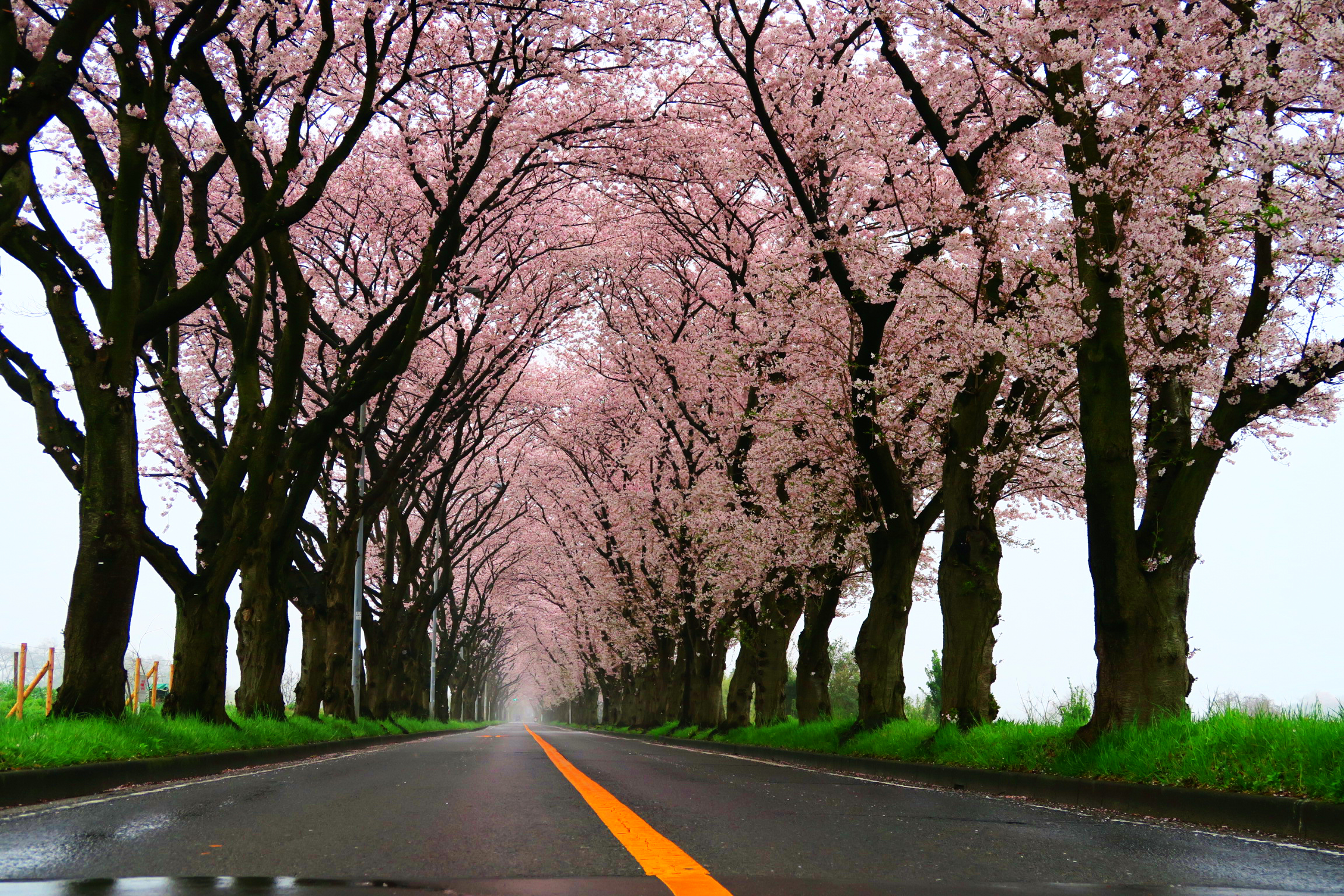 海軍道路