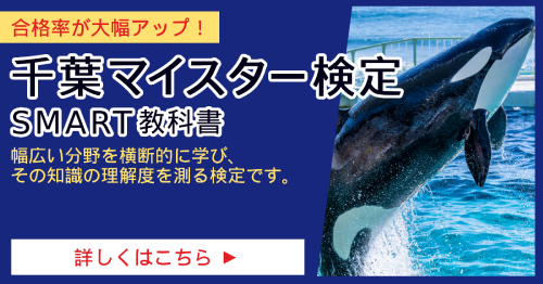 千葉マイスター検定_SMART合格講座
